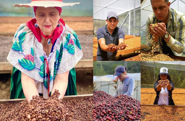 Costa Rica Don Alexis - Imagen 4