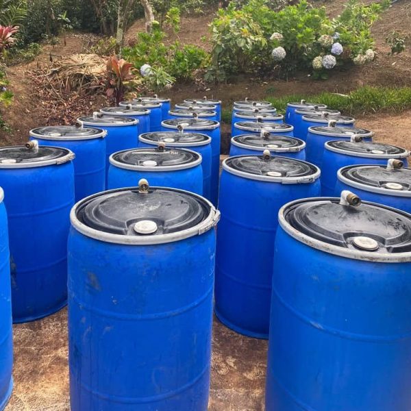 Costa Rica Don Alexis - Imagen 4