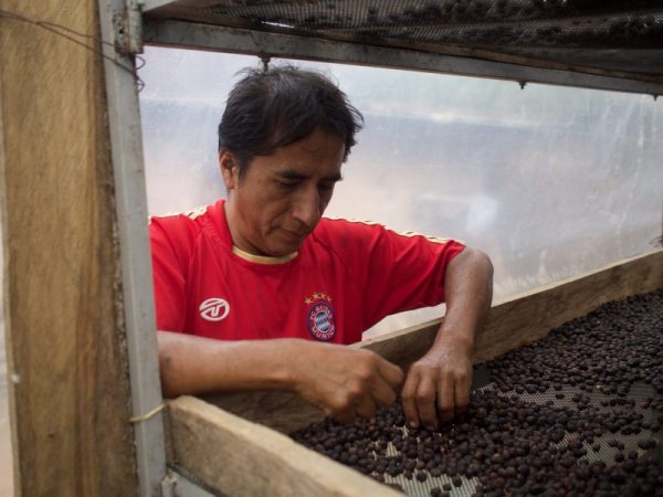 Perú Finca La Naranja - Imagen 5